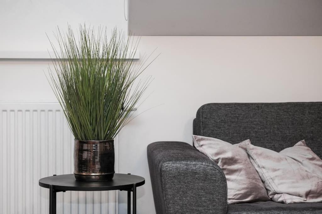 וילנה #Stayhere - Spacious Luxury Town Hall 3Bdr Apartment מראה חיצוני תמונה